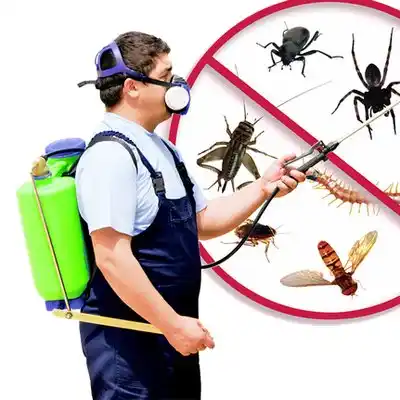 pest control Crisfield